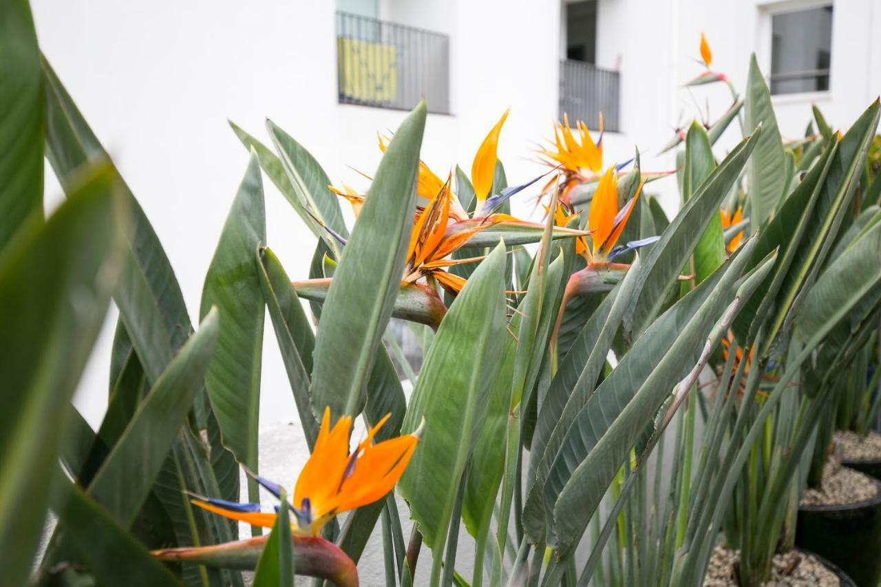 Lisbon Downtown Apartment Free Parking Экстерьер фото