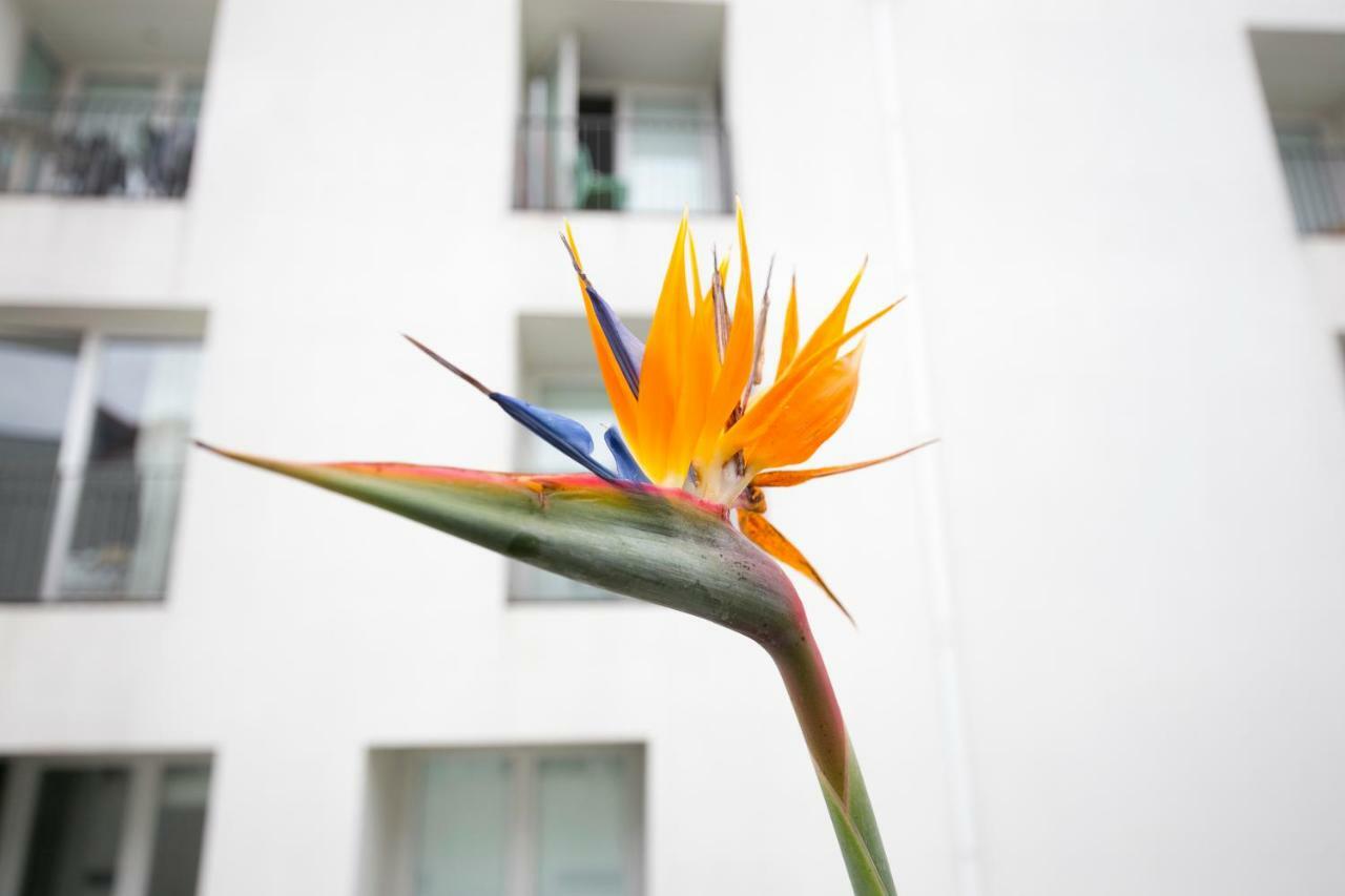 Lisbon Downtown Apartment Free Parking Экстерьер фото